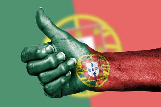 Traductor Jurado de Portugués
