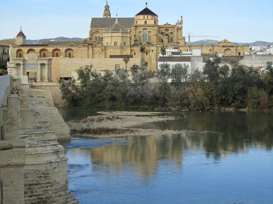 Traductor jurado en Córdoba