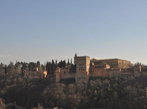 Traductor jurado en Granada